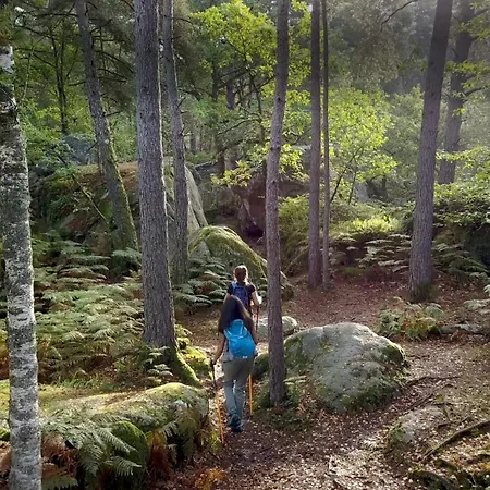 Forest Friends Apartman Saint-Martin-en-Bière